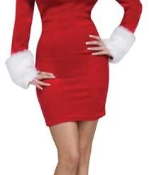 Fun World Santa Sweetie Adult Costume