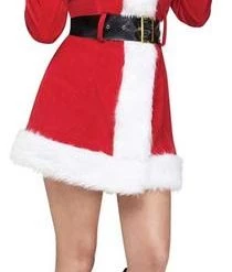 Fun World Sexy Merry Miss Santa Costume