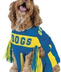 Fun World Newest Products Small Dog Pup Costume - Cheerleader