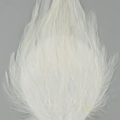 Zucker Feather Products Hackle Pads Feather Boas 23 Zucker Feather Products Hackle Pads Feather Boas