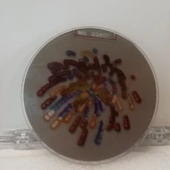 Theatre House Newest Products Rosco Glass Gobo Colorizer Pattern