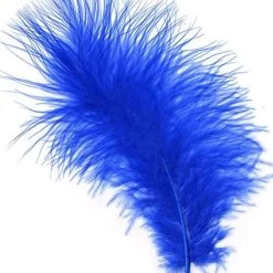 Zucker Feather Products Loose Feathers Feather Boas
