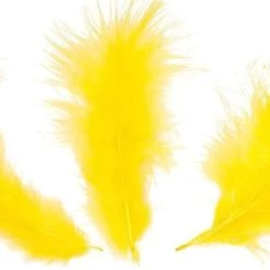 Zucker Feather Products Loose Feathers Feather Boas