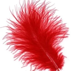 Zucker Feather Products Loose Feathers Feather Boas