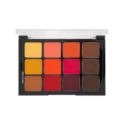 Newest Products Ben Nye Studio Color Blush + Contour Palette