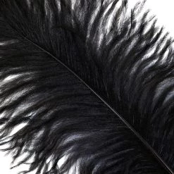 Zucker Feather Products Feather Boas Ostrich FeatherTrim