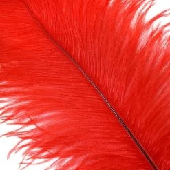 Zucker Feather Products Feather Boas Ostrich FeatherTrim