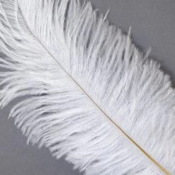 Zucker Feather Products Feather Boas Ostrich FeatherTrim