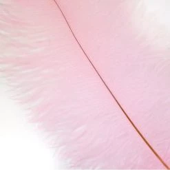 Zucker Feather Products Feather Boas Ostrich FeatherTrim