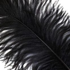 Zucker Feather Products Ostrich Plume 16-19