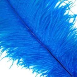 Zucker Feather Products Ostrich Plume 16-19