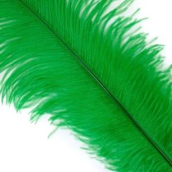 Zucker Feather Products Ostrich Plume 16-19