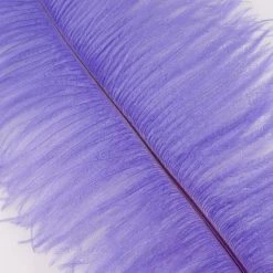 Zucker Feather Products Ostrich Plume 16-19