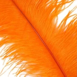 Zucker Feather Products Ostrich Plume 16-19