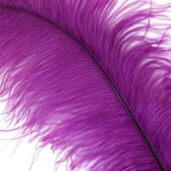 Zucker Feather Products Ostrich Plume 16-19