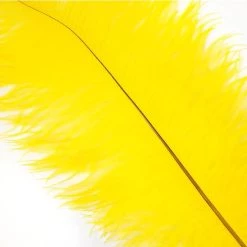 Zucker Feather Products Ostrich Plume 16-19