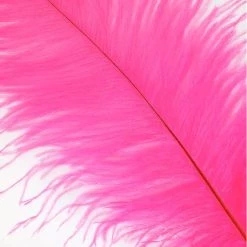 Zucker Feather Products Ostrich Plume 16-19