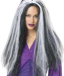 Paper Magic Group Silver Streaks Wig (Pmg)
