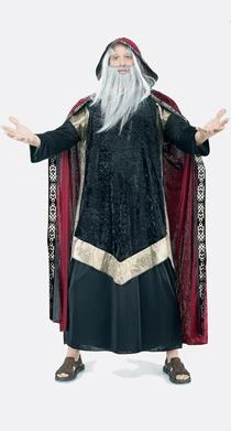 Paper Magic Group Plus Size Wizard Costume 1 Paper Magic Group Plus Size Wizard Costume