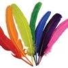 Zucker Feather Products Quills