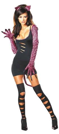 Dream Girl Sexy Cat Fight Costume 1 Dream Girl Sexy Cat Fight Costume