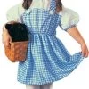 Rubies Toddler Dorothy Costume (Oz) Newest Products