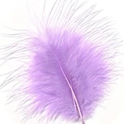 Zucker Feather Products Loose Feathers Feather Boas