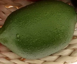 Theatre House Lime Fake Food