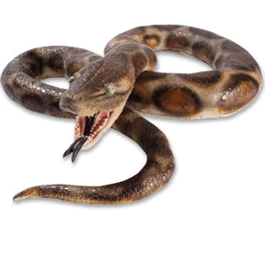 Vendor-unknown Python 6' 1 Vendor-unknown Python 6'