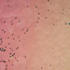 Vendor-unknown Chiffon Glitter *DS*