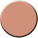 Vendor-unknown Newest Products Matte Foundation CN-005 Sahara Beige