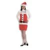 Vendor-unknown Holiday Apron & Hat Aprons