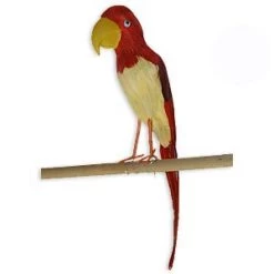 Vendor-unknown Parrot Newest Products