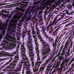 Vendor-unknown Newest Products Zebra Print Venecia Stretch 1 Vendor-unknown Newest Products Zebra Print Venecia Stretch