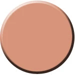 Vendor-unknown Newest Products Tan No. 2 Color Cake 1oz./28gm. - PC-11
