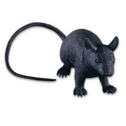 Vendor-unknown Jumbo Rat Newest Products