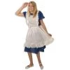 Vendor-unknown Alice Dress & Apron Aprons