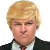 Vendor-unknown Patriotic Billionaire Wig - President Trump Wig