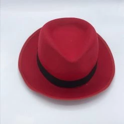 Vendor-unknown Fedora